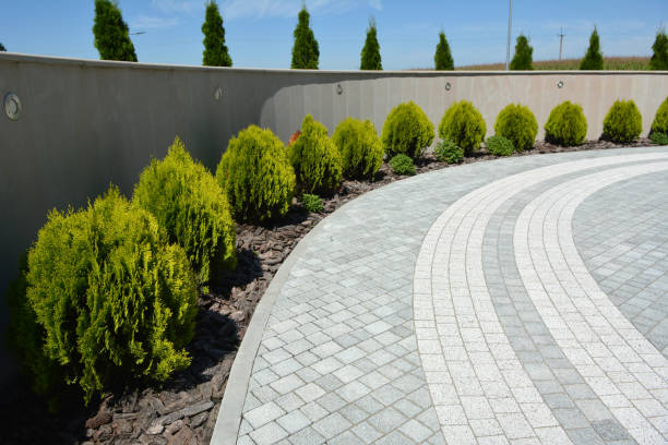 Best Concrete Paver Driveway  in Honolulu, HI